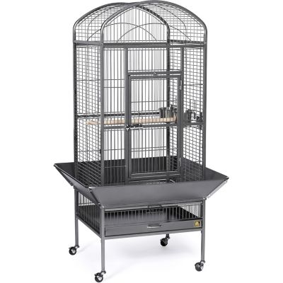 Prevue Pet Products 11-3/4 in. x 21-3/4 in. Dometop Bird Cage, Black, Medium