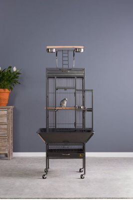 Image showing  18 in. x 18 in. x 57 in. Wrought-Iron Select Bird Cage, Black