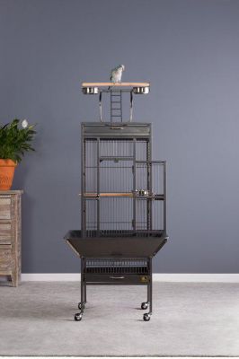 Image showing  18 in. x 18 in. x 57 in. Wrought-Iron Select Bird Cage, Black