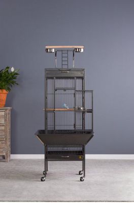 Image showing 11 th Prevue Pet Products 18 in. x 18 in. x 57 in. Wrought-Iron Select Bird Cage, Black
