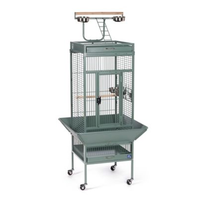 Prevue Pet Products Wrought-Iron Select Bird Cage, 18 in. x 18 in. x 57 in., Sage