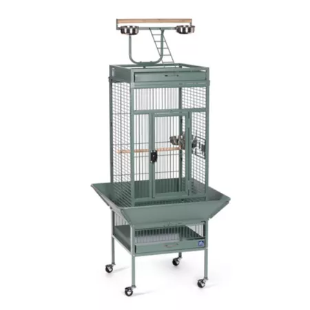 Prevue Pet Products Select Wrought Iron Bird Cage 18 in x 18 in x 57 in Sage Pet Bird Cages