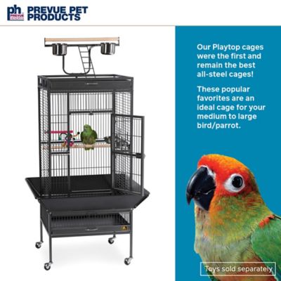 Image showing  Wrought-Iron Select Bird Cage, 24 in. x 20 in. x 60 in., Black