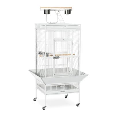 Prevue Pet Products Wrought-Iron Select Bird Cage, 24 in. x 20 in. x 60 in., Chalk