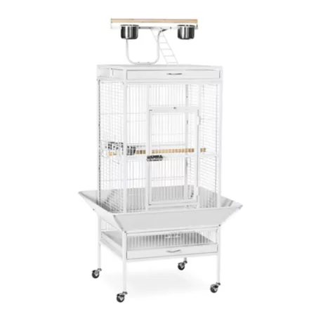 Prevue Pet Products Select Wrought Iron Bird Cage 24 in x 20 in x 60 in Chalk Pet Bird Cages