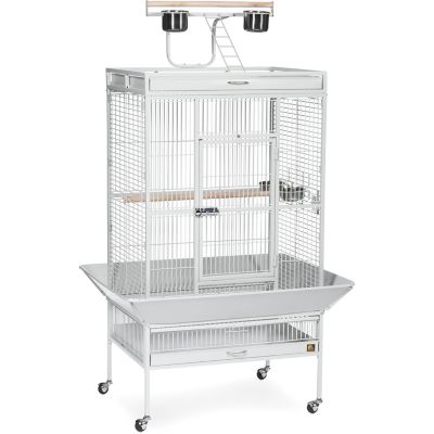 Prevue Pet Products Wrought-Iron Select Bird Cage, Pewter, 30 in. x 22 in. x 63 in., Coco The cage came with touch-up paint, which was a nice surprise