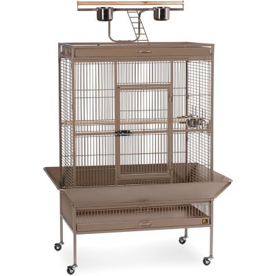 Prevue Pet Products Wrought-Iron Select Bird Cage, Pewter, 36 in. x 24 in. x 66 in., Black I was surprised Tractor Supply had the cage I was looking for at the best price