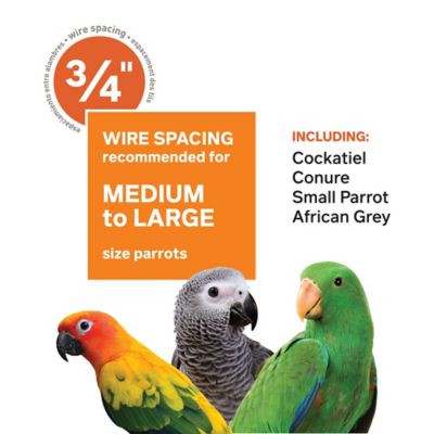 Image showing 6 th Prevue Pet Products Wrought-Iron Select Bird Cage, 36 in. x 24 in. x 66 in., Pewter