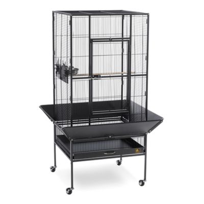 Prevue Pet Products 52-3/4 in. Park Plaza Bird Cage, Coco Brown/Black