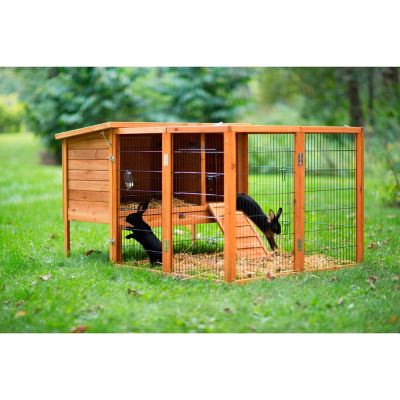 Image showing 6 th Prevue Pet Products Large Rabbit Playpen, 43.75 in. x 40 in.
