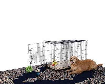 Image showing 5 th Prevue Pet Products Home On-the-Go 1-Door Wire Dog Crate