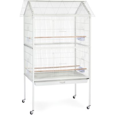 aviary supplies near me