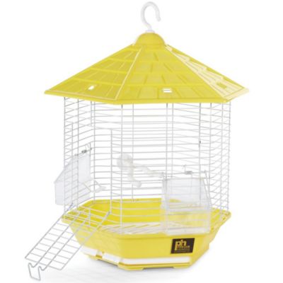 Image showing  Bali Bird Cage, Yellow