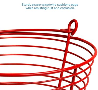 Image showing  Egg Collection Basket, 24 to 36 Egg Capacity