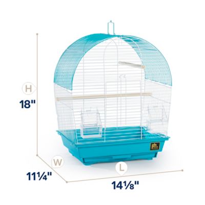 Image showing  South Beach Dome Top Bird Cage, Teal