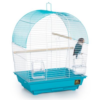 Image showing  South Beach Dome Top Bird Cage, Teal