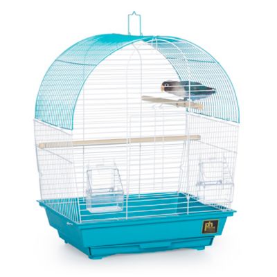 Image showing  South Beach Dome Top Bird Cage, Teal