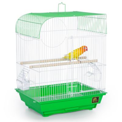 Image showing  South Beach Flat Top Bird Cage, Lime