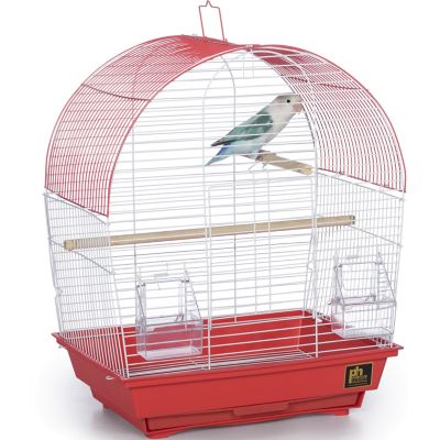Image showing  South Beach Dome Top Bird Cage, Coral