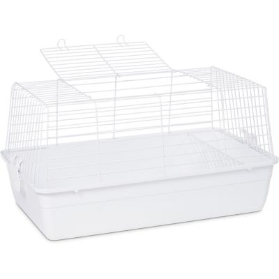 Image showing  Carina Small Animal Tubby, 23.5 in. x 14 in.