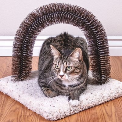 Image showing  Nylon Bristle Cat Brush-N-Scratch, 14 in. x 14 in. x 14.5 in.