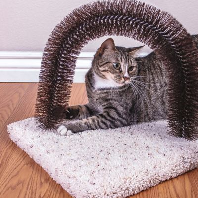 Image showing  Nylon Bristle Cat Brush-N-Scratch, 14 in. x 14 in. x 14.5 in.