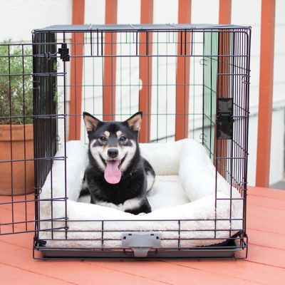 medium dog crate pad