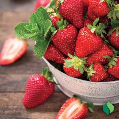 Image showing  Strawberry Allstar