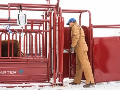 Image showing  Palpation Cage