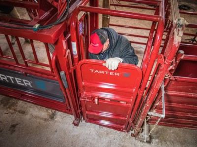 Image showing  Palpation Cage