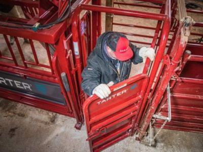 Image showing  Palpation Cage