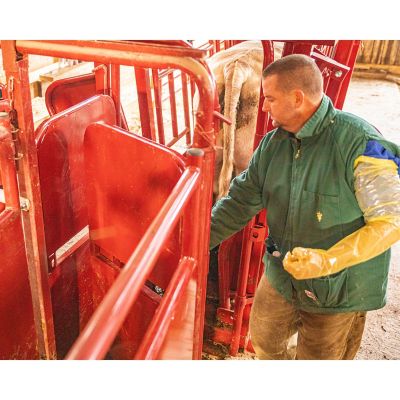 Image showing 5 th Tarter Palpation Cage