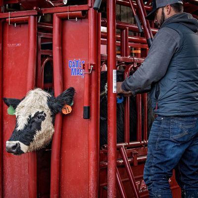 image of a Livestock Handling Equipment