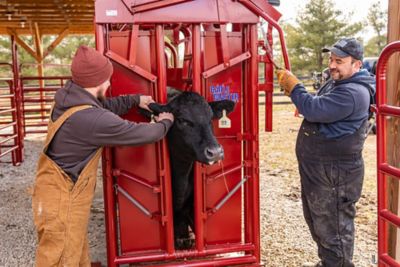 Image showing 6 th Tarter CattleMaster Series 6 Heavy-Duty Squeeze Chute with Manual Headgate
