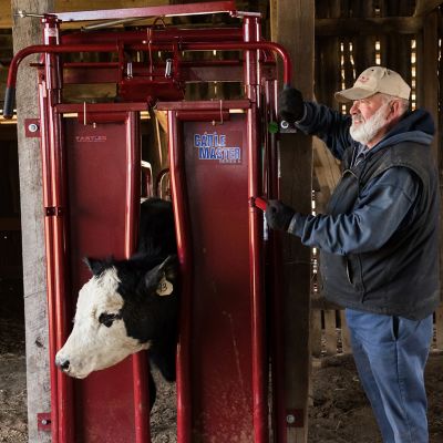 Image showing  Series 6 Automatic Headgate for Cattle Up to 1,400 lb.