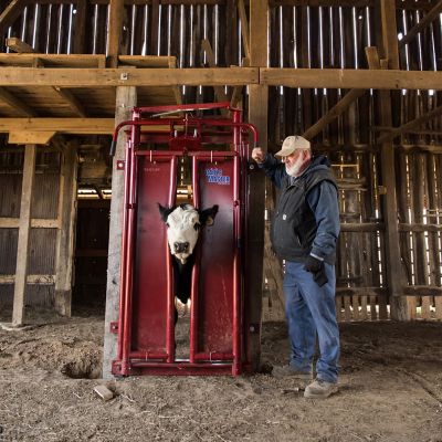 Image showing  Series 6 Automatic Headgate for Cattle Up to 1,400 lb.