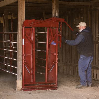 Image showing  CattleMaster Series 6 Manual Headgate for Cattle Up to 1,400 lb., Red
