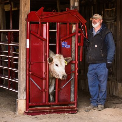 Image showing  CattleMaster Series 6 Manual Headgate for Cattle Up to 1,400 lb., Red