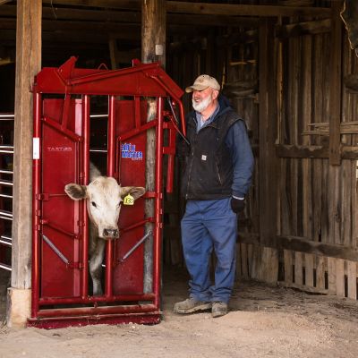 Image showing  CattleMaster Series 6 Manual Headgate for Cattle Up to 1,400 lb., Red