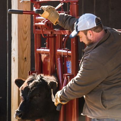 Image showing  CattleMaster Series 3 Automatic Headgate for Cattle Up to 1,200 lb., 19-1/2 in. x 41 in. x 72 in., Red, 223 lb.