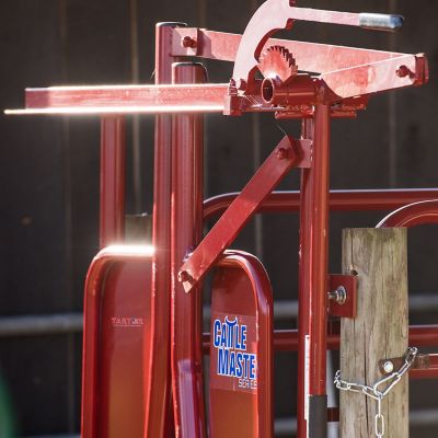 Image showing  Series 3 Manual Headgate for Cattle Up to 1,200 lb., 8 in. x 60-1/2 x 76 37-1/2 in. Mounting Bolt Width