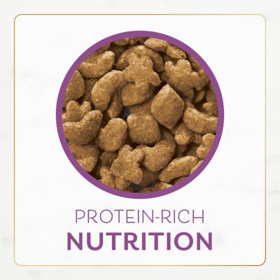 Image showing  Chicken and Turkey Recipe Dry Cat Food