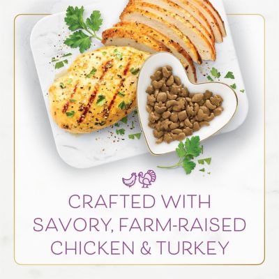 Image showing  Chicken and Turkey Recipe Dry Cat Food