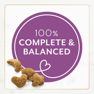 Image showing 5 th Purina Fancy Feast Chicken and Turkey Recipe Dry Cat Food