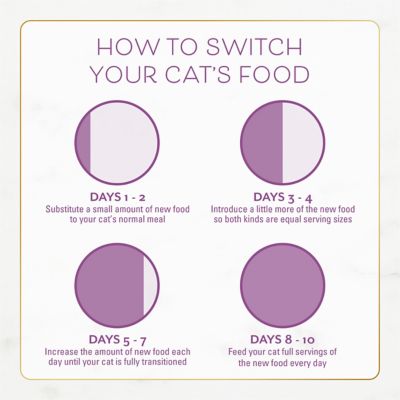 Image showing 7 th Purina Fancy Feast Chicken and Turkey Recipe Dry Cat Food