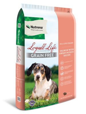 Nutrena Loyall Life Adult Grain-Free Salmon and Sweet Potato Recipe Dry Dog Food