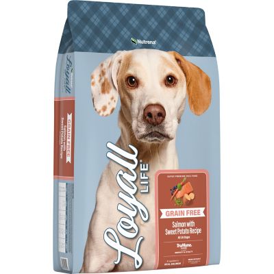 Image showing  Adult Grain-Free Salmon and Sweet Potato Recipe Dry Dog Food, 30 lb. Bag