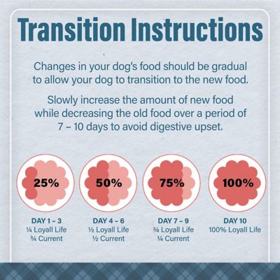 Image showing 8 th Nutrena Loyall Life Adult Grain-Free Salmon and Sweet Potato Recipe Dry Dog Food, 30 lb. Bag