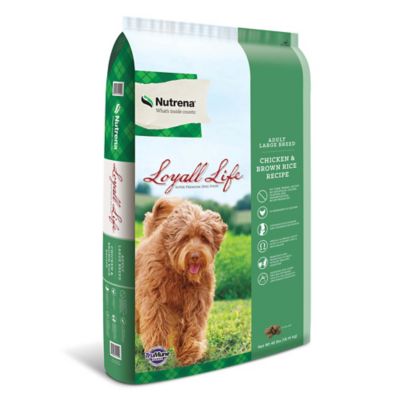 Nutrena Loyall Life Large Breed Adult Chicken and Brown Rice Recipe Dry Dog Food Great Dog Food at a Great Price
