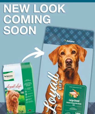 Image showing  Large Breed Adult Chicken and Brown Rice Recipe Dry Dog Food, 40 lb. Bag